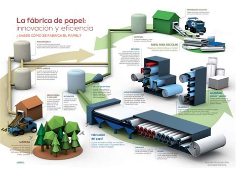 ¡Olmo en la Fabricación de Papel: ¿Un Recurso Renacible para un Futuro Sostenible?