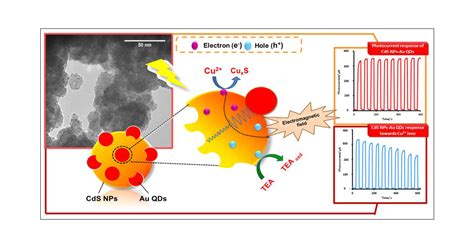 ¿Qué son las nanopartículas de sulfuro de cadmio y cómo revolucionan la tecnología de visualización?