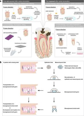  ¿Qué es el Quelato y cómo revoluciona la bioingeniería dental?