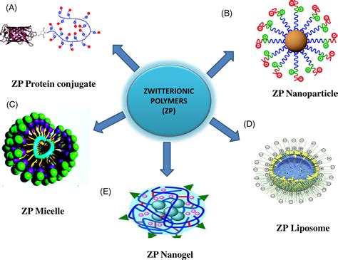  Zwitterionic Polymer: ¡Un Campeón en Biocompatibilidad y Resistencia!